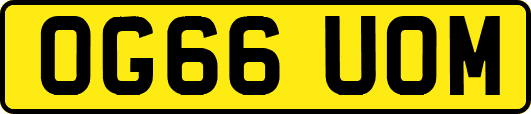 OG66UOM