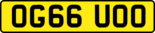 OG66UOO
