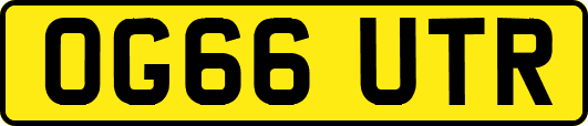 OG66UTR