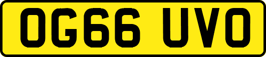 OG66UVO