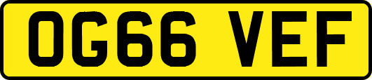 OG66VEF