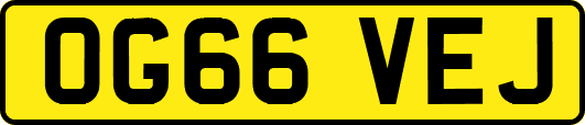 OG66VEJ