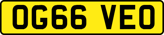 OG66VEO