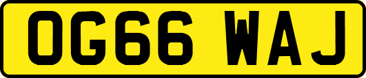 OG66WAJ