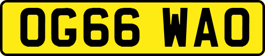 OG66WAO