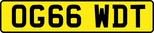 OG66WDT