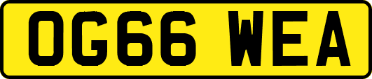 OG66WEA