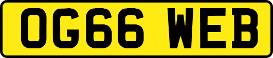 OG66WEB