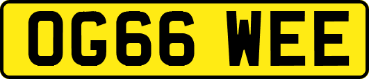 OG66WEE