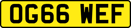 OG66WEF