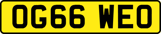 OG66WEO