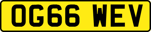 OG66WEV