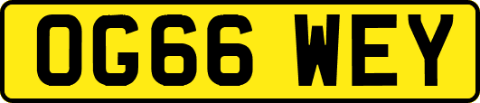 OG66WEY