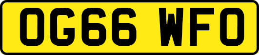 OG66WFO