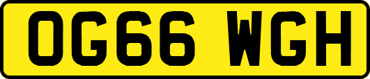 OG66WGH
