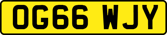 OG66WJY