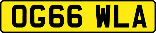 OG66WLA