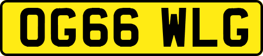 OG66WLG