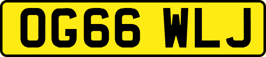 OG66WLJ