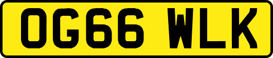 OG66WLK