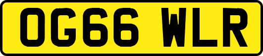 OG66WLR