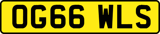 OG66WLS