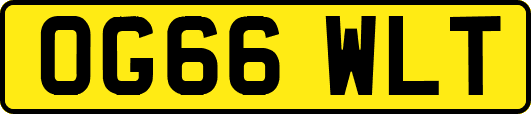 OG66WLT