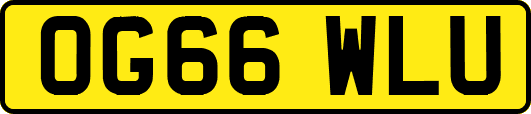 OG66WLU