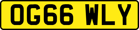 OG66WLY