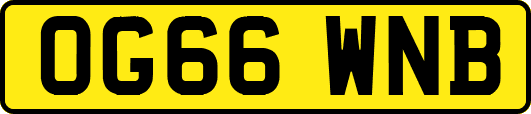 OG66WNB