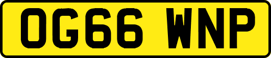 OG66WNP