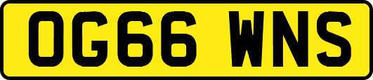 OG66WNS