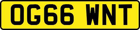 OG66WNT