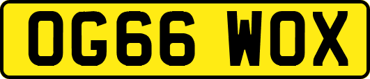 OG66WOX