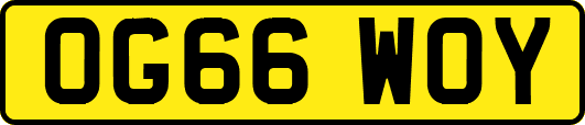 OG66WOY