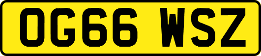 OG66WSZ