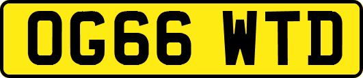 OG66WTD
