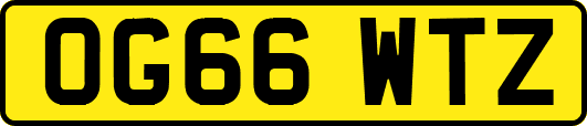 OG66WTZ
