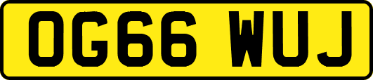 OG66WUJ