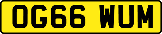 OG66WUM