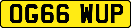 OG66WUP