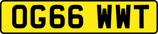 OG66WWT