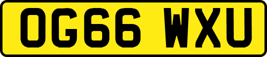 OG66WXU