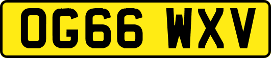 OG66WXV