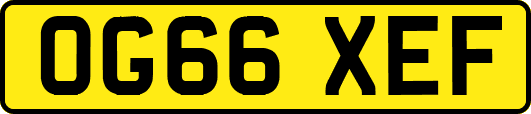 OG66XEF