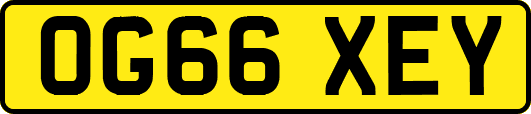 OG66XEY
