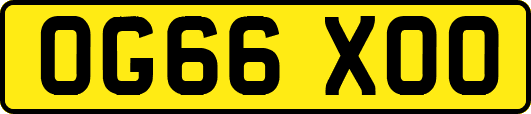 OG66XOO