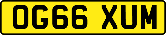 OG66XUM