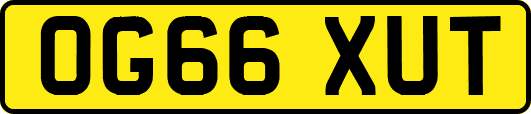 OG66XUT