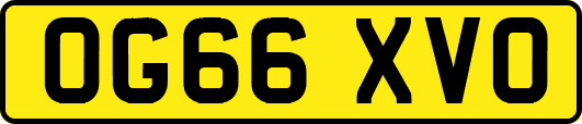 OG66XVO